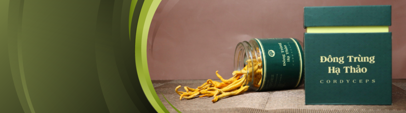 Đông Trùng Hạ Thảo