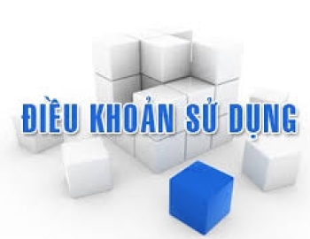 ĐIỀU KHOẢN SỬ DỤNG WEBSITE