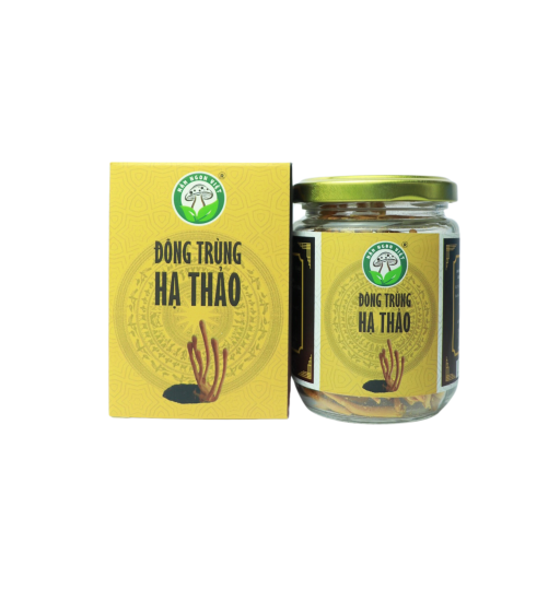 Nấm Đông Trùng Hạ Thảo